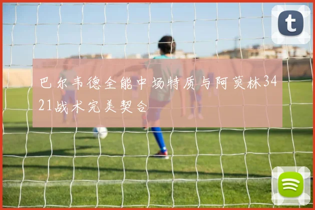巴尔韦德全能中场特质与阿莫林3421战术完美契合
