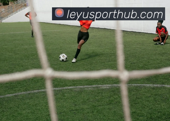 App Interface Preview