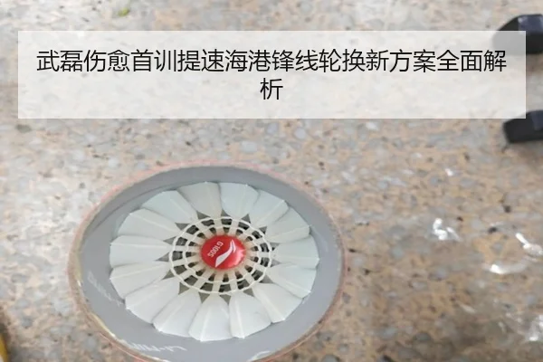 武磊伤愈首训提速海港锋线轮换新方案全面解析 | Leyu